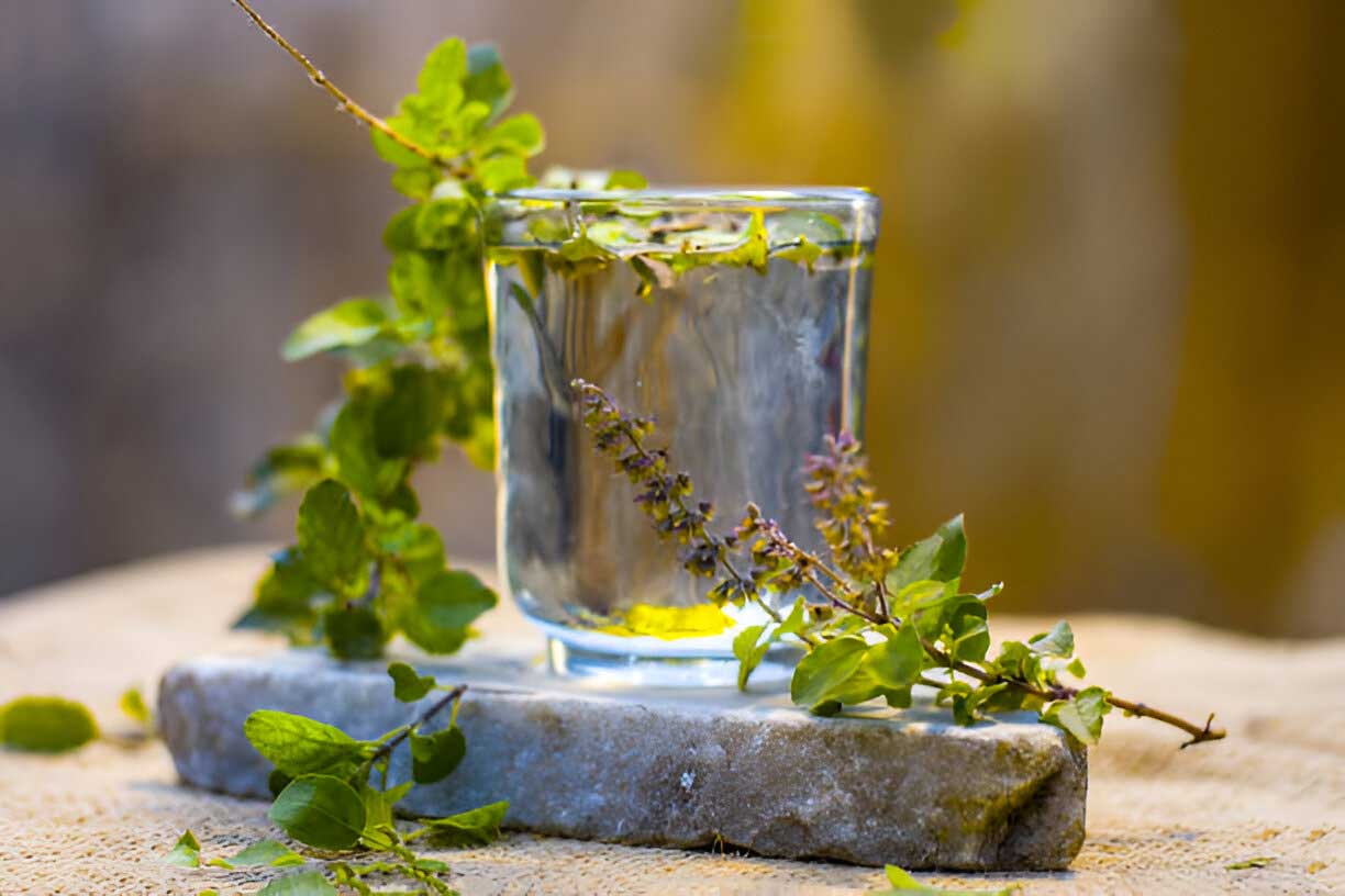 Tulsi in Ayurvedic